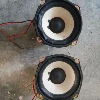 باند