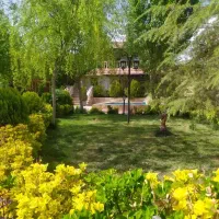 اجاره-باغ-ویلا-عمارت-سبز-تریبلکس-استخربزرگ