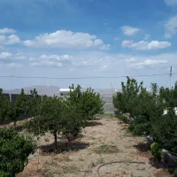 باغ-شیرحصار