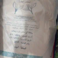 چای کله مورچه