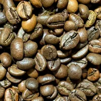 فروش عمده قهوه