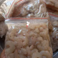 میگو|ماهی|بهبهان, |دیوار