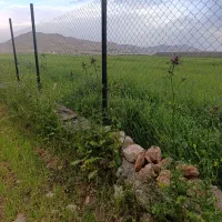 لوله وفنس