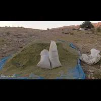فروش جاشیر