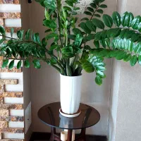 گل وگیاه طبیعی