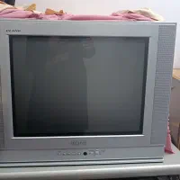 تلویزیون
