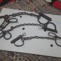 پابند اسب و خر