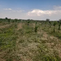 باغ-ویلا-500متری