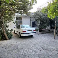 ملک-فروشی