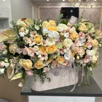 دوتا باکس گل زیر قیمت