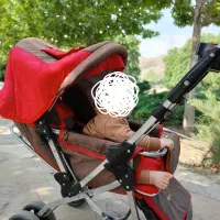 کالاسکه چیکو سالم ورنگ اسپرت
