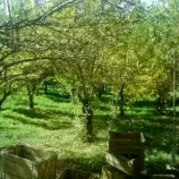 زمین ۲۳۰ متری نعمت آباد جاده ابریشم