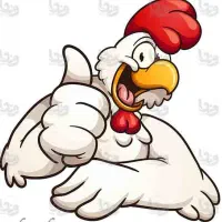 فروش عمده و خورده قطعات مرغ گرم و بوقلمون