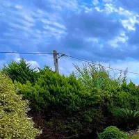 290 متر زمین خوش قواره داخل بافت سندتک برگ