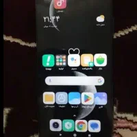 فروش شیامی پو کو‌m3