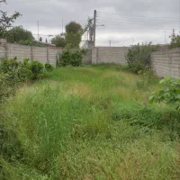 فروش-زمین-در-نکا