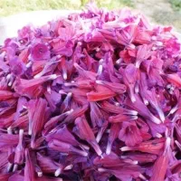 گل گاوزبان ارگانیک درجه یک برند برتر اشکورات