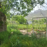 قطعه باغی  به متراژ 256متر