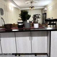 کابینت|آبچکان و نظمدهنده ظروف|بجنورد, |دیوار