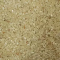 کنجد سفید محلی