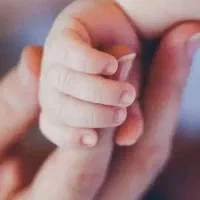 نیازمند تخمک و رحم تعداد بالا