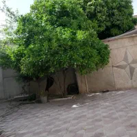 فروش-منزل-حیاط-دار-در-فلکه-ی-ولی-عصر