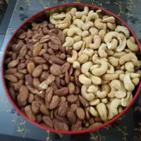 بادام هندی و درختی