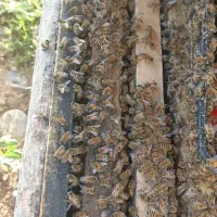 از ۶قاب تا ۱۰ قاب