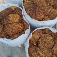 برگ بنیاد