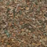 پوست سبز بادام بفروش میرسد