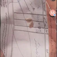 گوشواره نوزاد