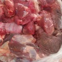خورده گوشت گوساله وگوسفندی کشتارروز