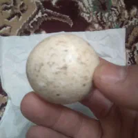 سنگ گوهر شبنما