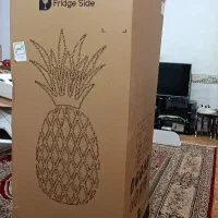 کارتون یخچال دوقلو