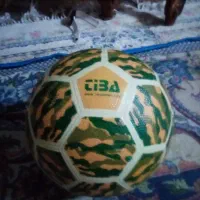 ورزشی