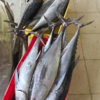 هوور مبخوام