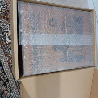 تاریخ مصور آمریکا