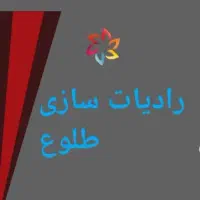 خودرو رادیات سازی