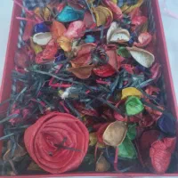وسایل جشن دندونی