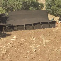 سیاه چادر