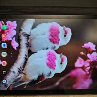 تبلت سامسونگ مدل a9 plus 5g