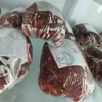 پخش گوشت منجمد برزیلی فقط عمده