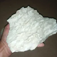 سنگ و فسیل