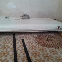 هود سالم