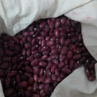 لوبیا قرمز چهارمحال