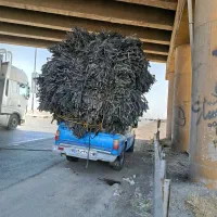 ضایعات نوار تیپ نوار قطره ای