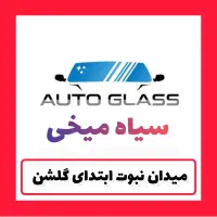 شیشه اتومبیل ، شیشه دودی سیاه میخی ( میدان نبوت )