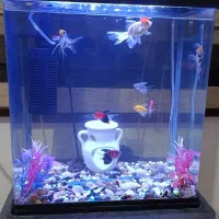 آکواریوم شرکتی