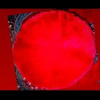 فرش پرز بلند