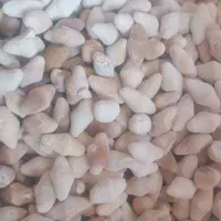 کشک تلمی گوسفندی درجه1